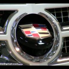 cdf78250141434280d515a6c768d4d31