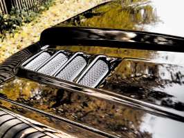 44dbff1d33c5426a009d127fbd4e82d5